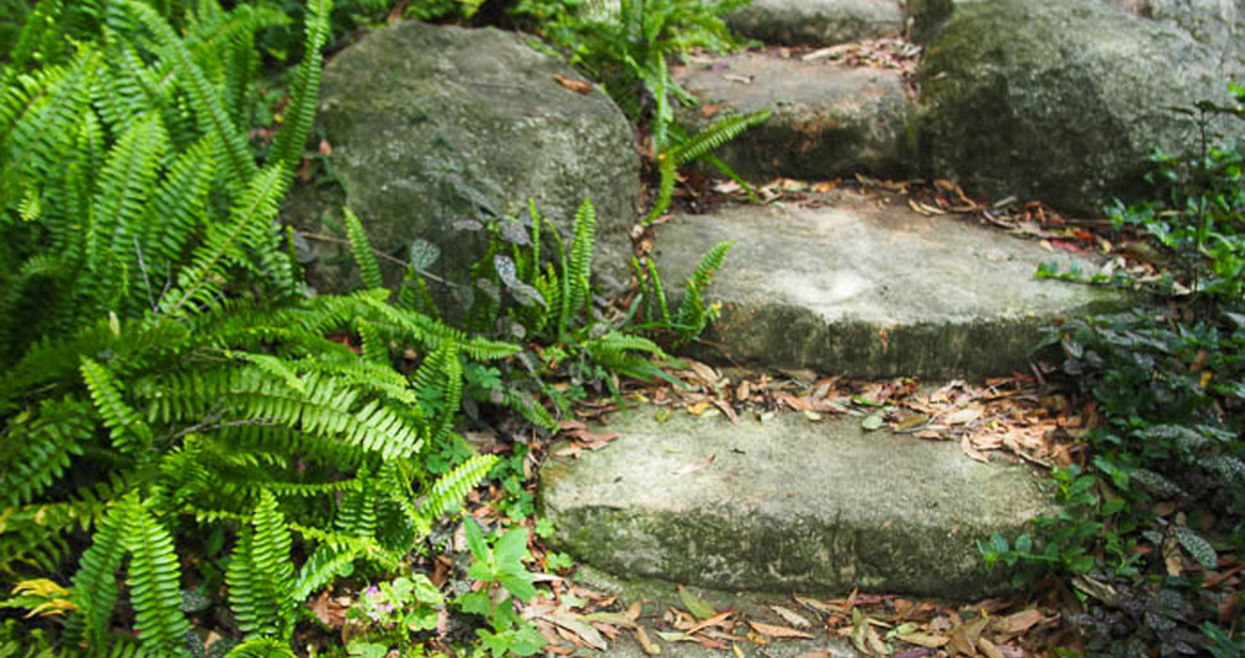 garden stone steps